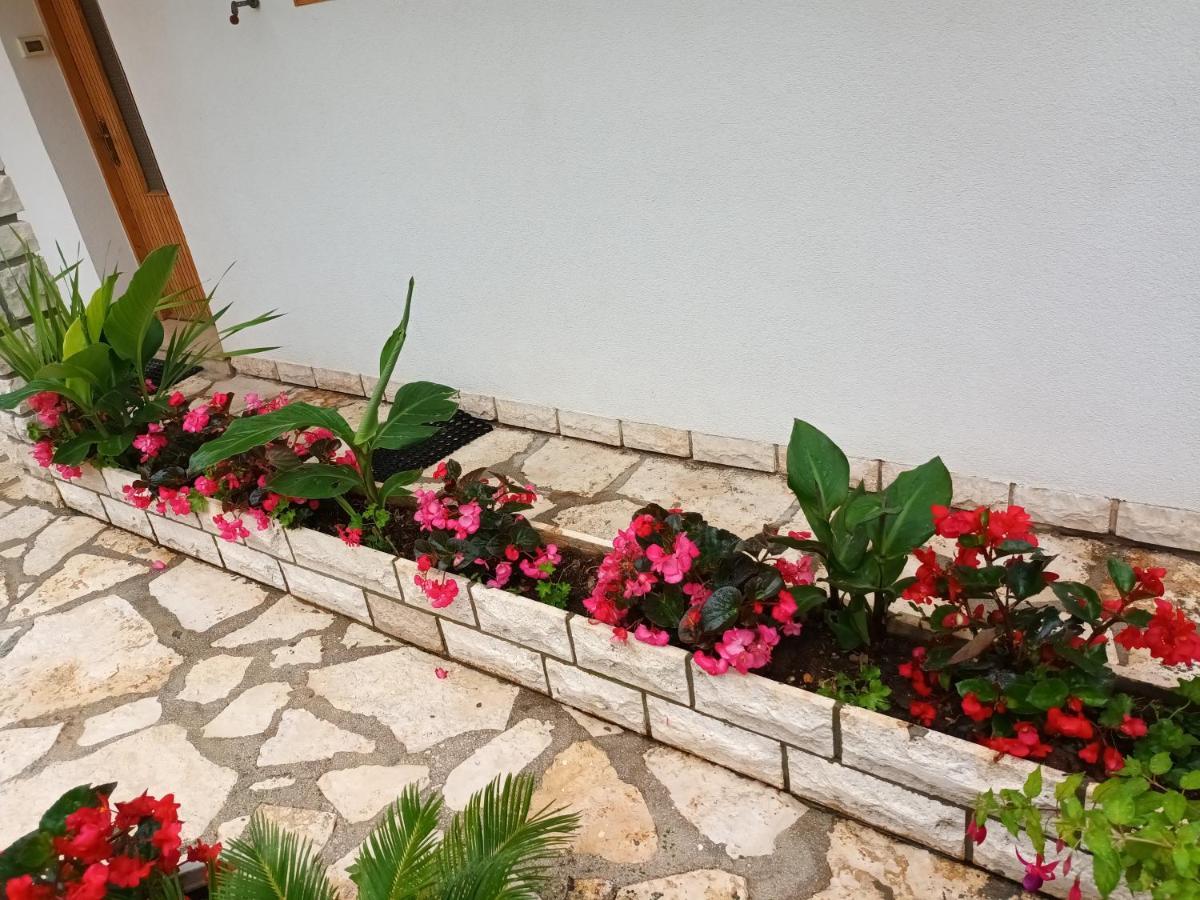 Apartman Leo Rovinj