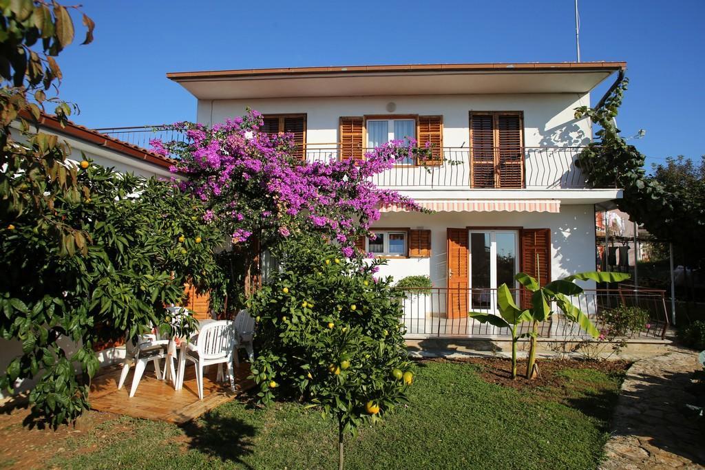 Leo Apartman